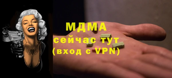 индика Елабуга