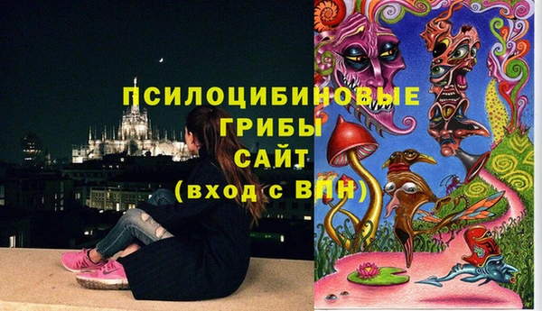 кокаин премиум Белокуриха
