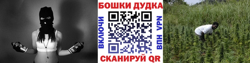 это наркотические препараты  Наволоки  Конопля Amnesia  купить наркотики цена 